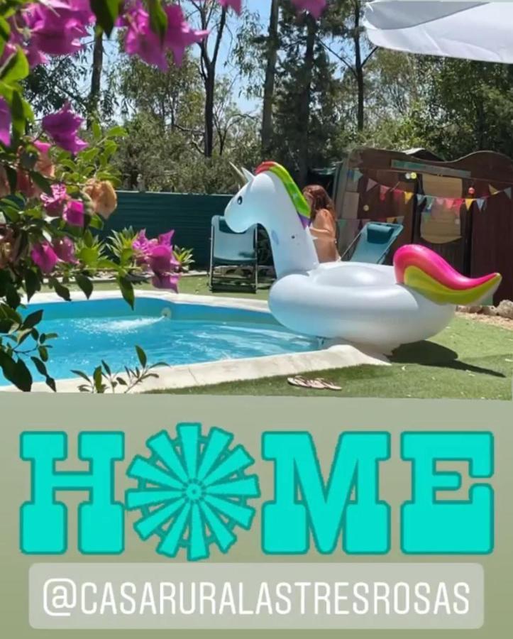 Casa Rural Con Piscina Viajar Con Mascota Gaucín Exterior photo