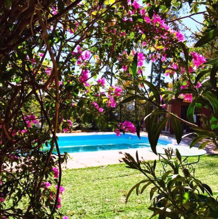 Casa Rural Con Piscina Viajar Con Mascota Gaucín Exterior photo